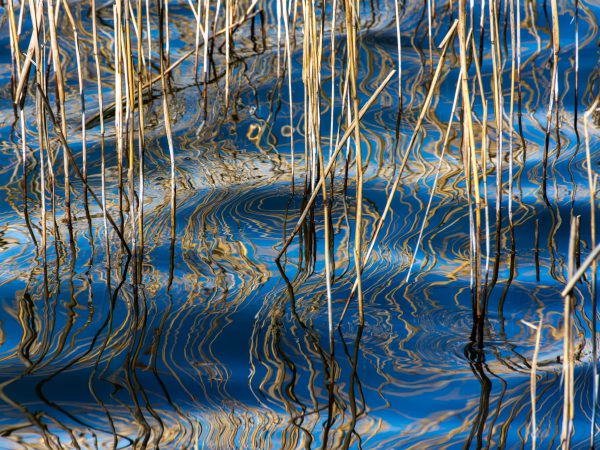 A Day at the Lake 04