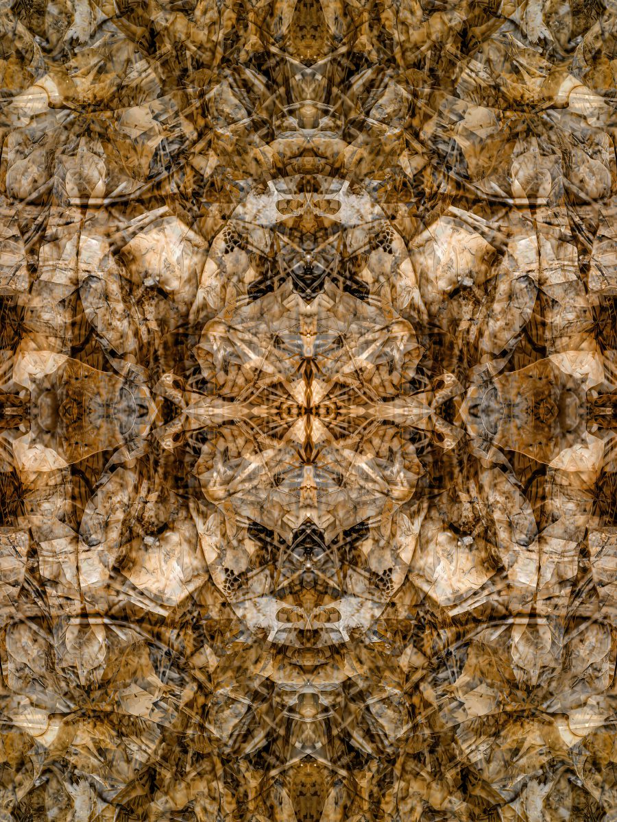 Wood 3