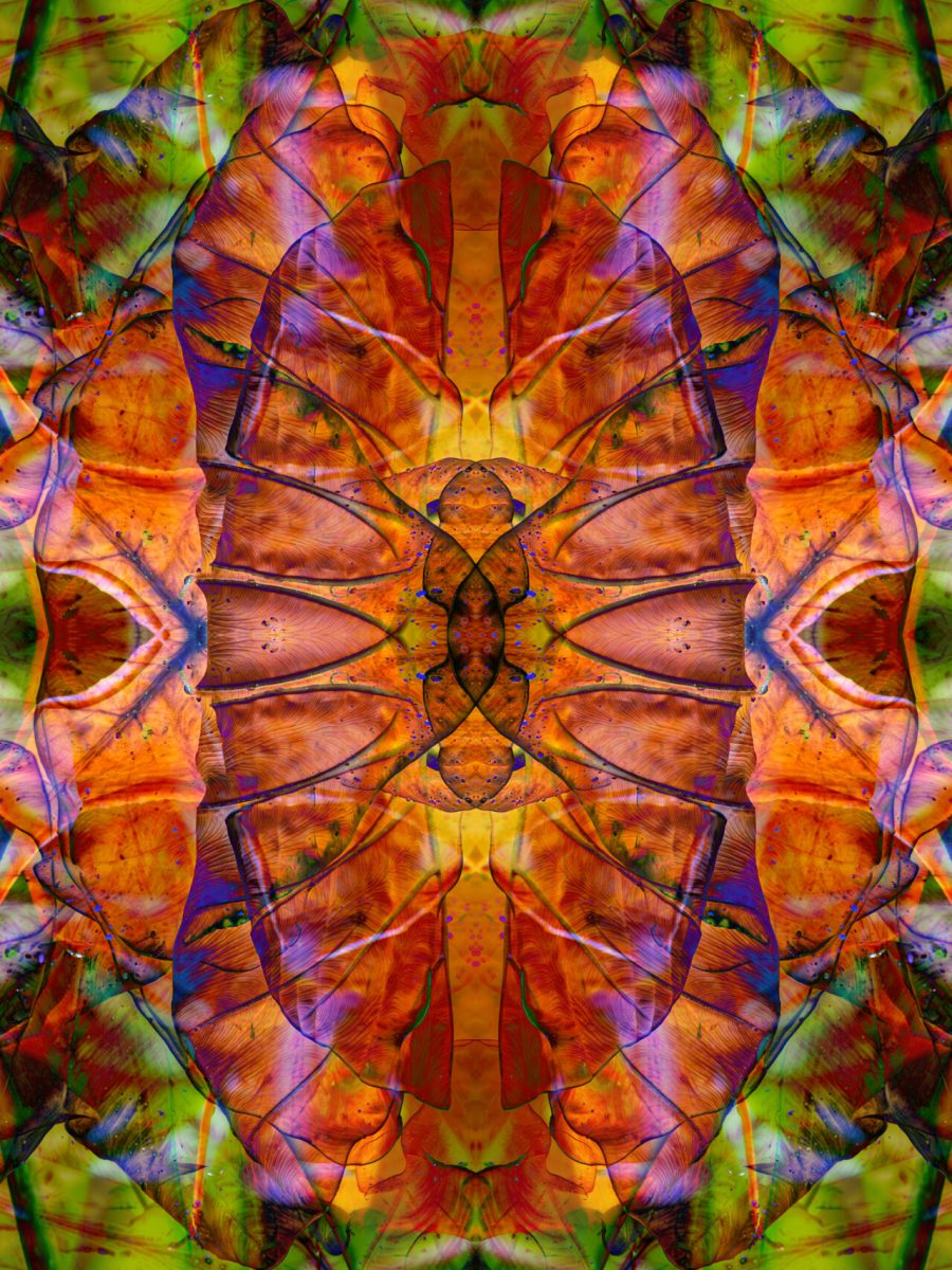 Leaf it as it is 04